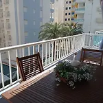Palmeras III