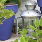 El Cobijo de Vejer