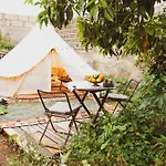 Yurt In Avocado Garden