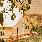 Yurt In Avocado Garden