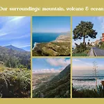 Tulia Guesthouse & Coworking