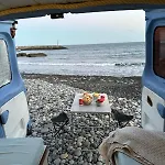 Camper Van Orange Crab