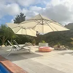Estudio Nuevo Zen