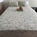 Comfy Box Las Canteras