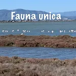 Casa de sueños Benasha