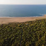 Iberostar Isla Canela