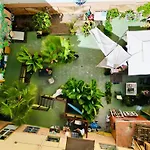 Jungle House