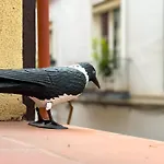 Disfruta Del Barrio De Las Letras