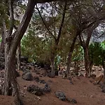 Las Sabinas Playa - El Guincho, Garachico