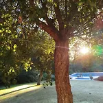Sotogrande - Estancia En Plena Naturaleza - Abril