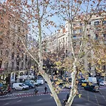 Comte Urgell