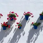 La Buganvilla