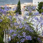 Hostal Restaurante La Curva