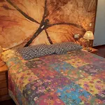 Apartamentos Casino