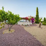 Fidalsa Safadi Amazing Views