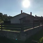 Sofia 21