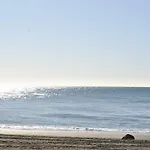 Apartamento Frente Al Mar,Primera Linea De Playa