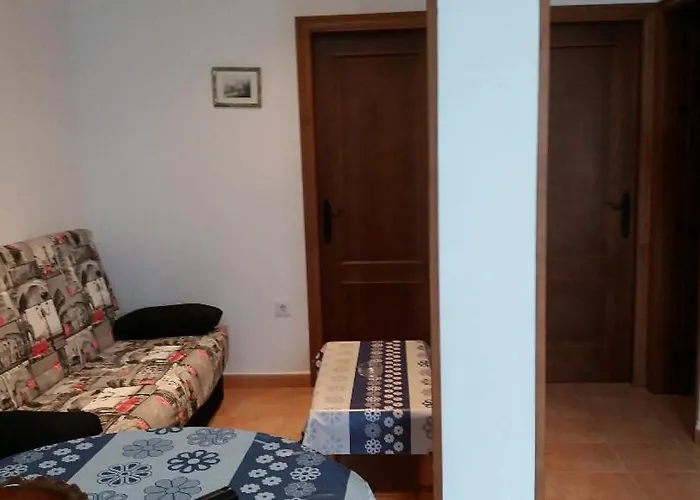 Olivo 14