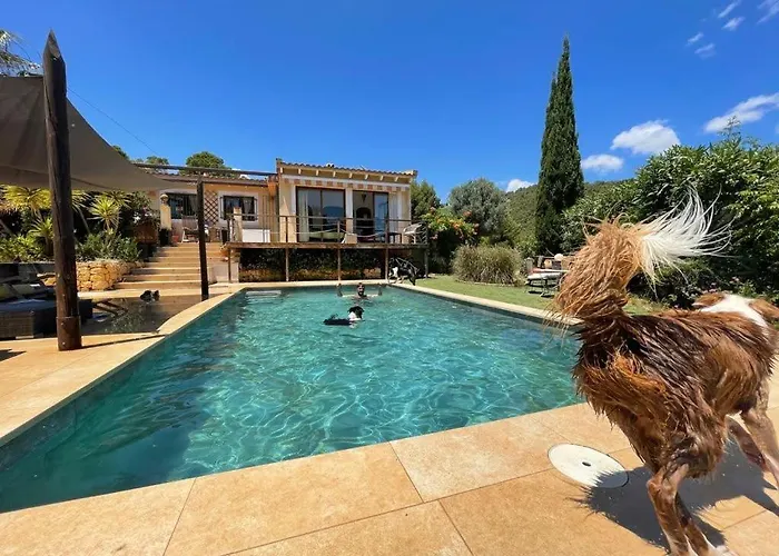 El Paraiso De Los Perros