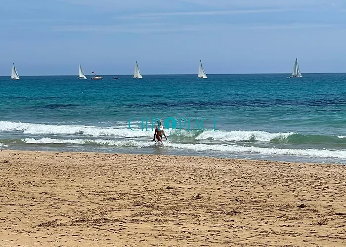 Flamenco, Solo A 40 Metros De La Playa