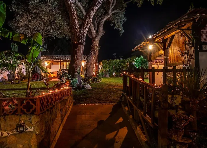 Villa El Acebuche - Chalet Con Encanto - Pet Friendly