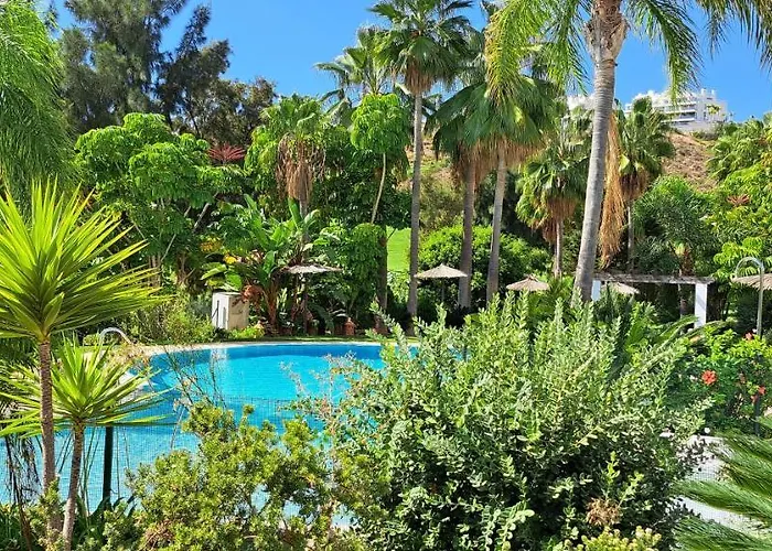 El Olive - Calanova Grand Golf