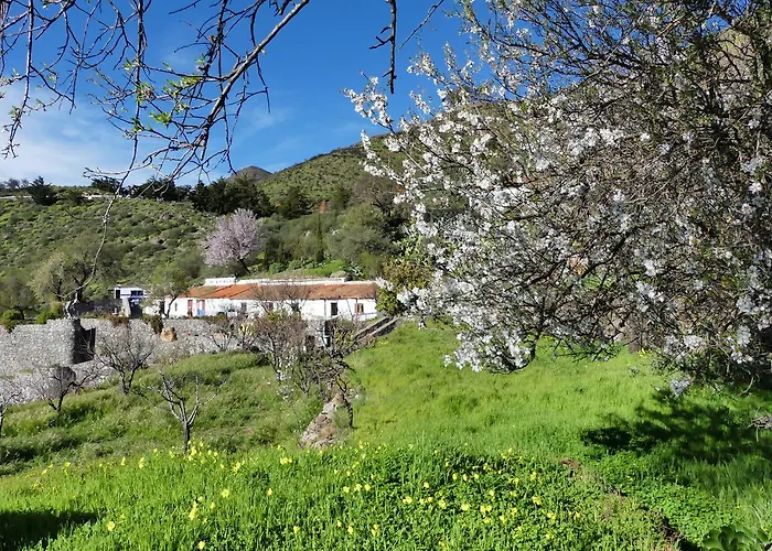 Mountain Hostel Finca La Isa By Rose