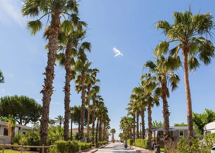 Camping Estival Vendrell Platja