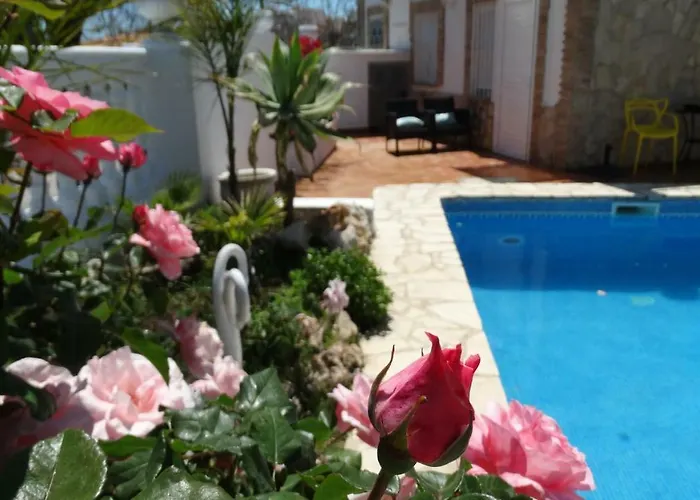 Hostal La Paloma II