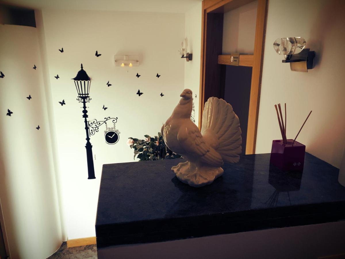 Guest house Paloma - *