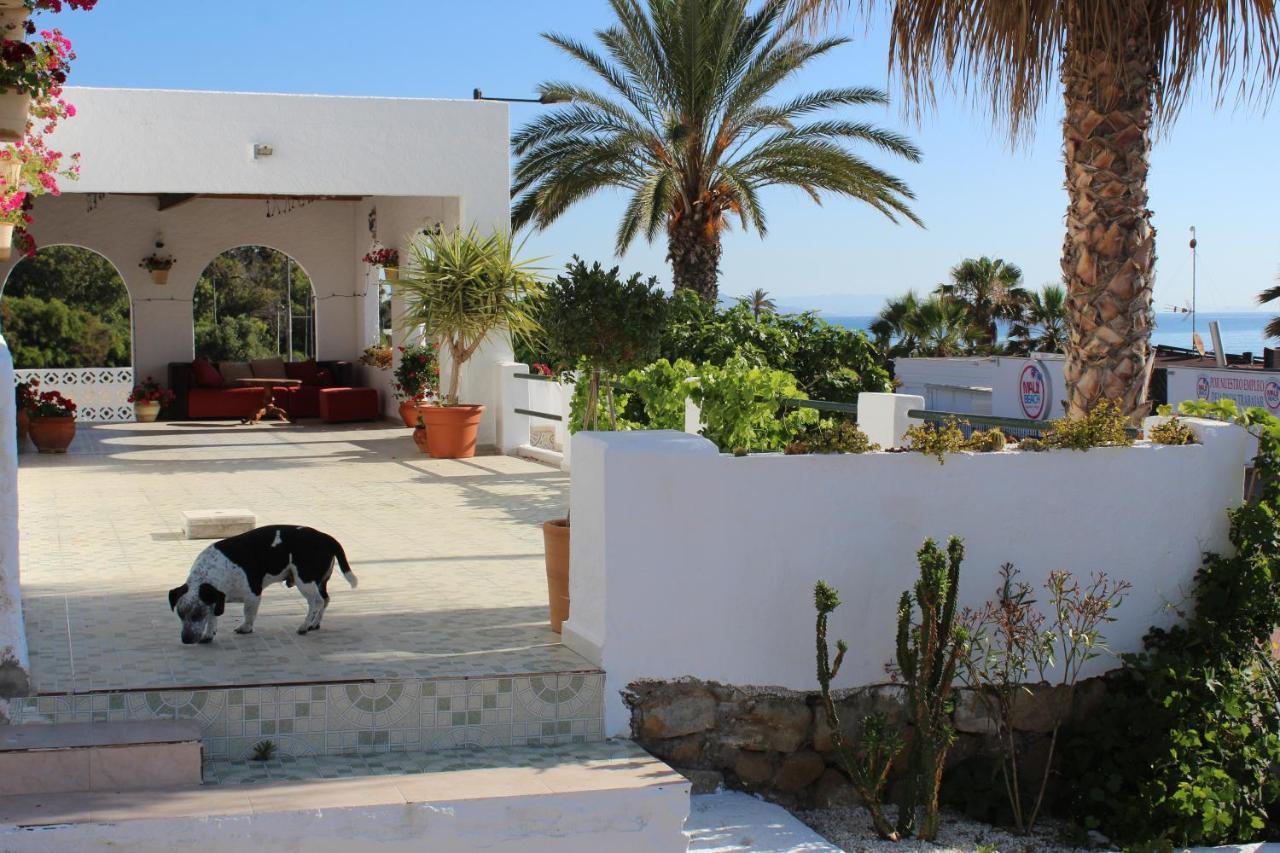 Guest house Casaflor *