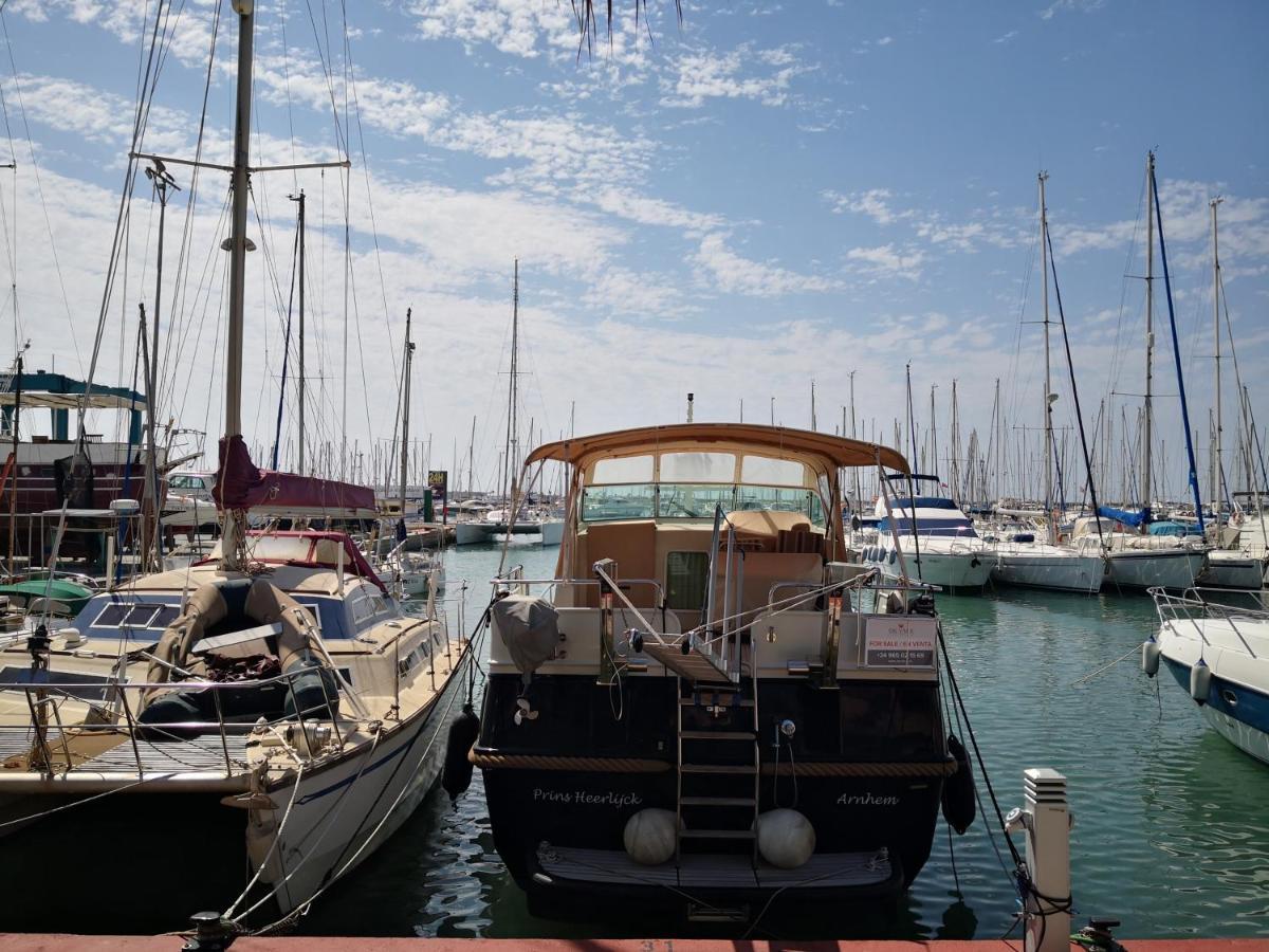 Apartamento Apartamento Marina Vip Torrevieja