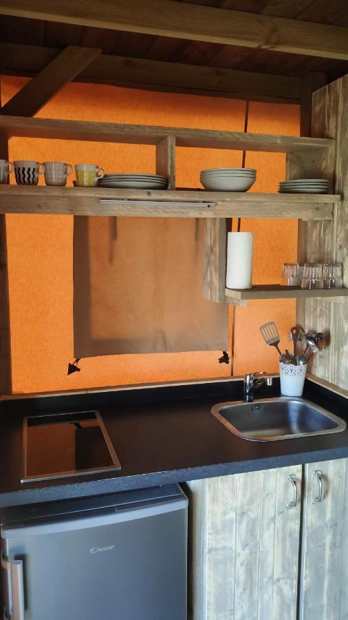 Campsite Gaviotas