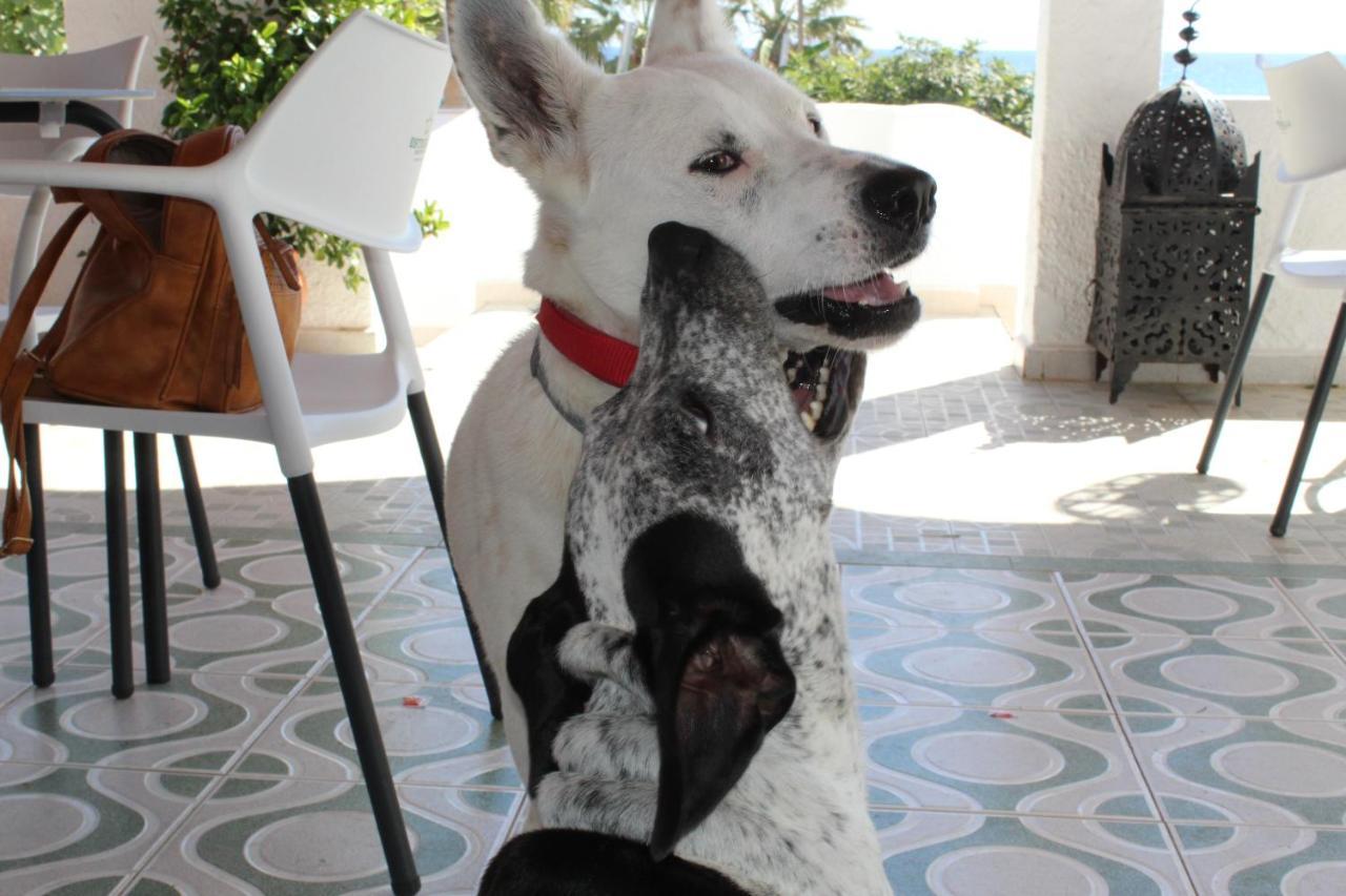 Casaflor Guest house