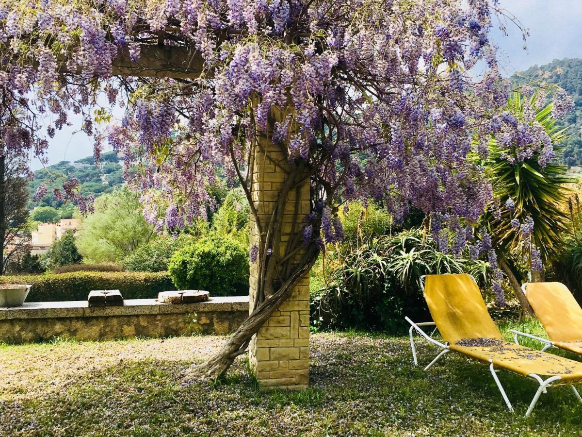 Bed & Breakfast Casadella