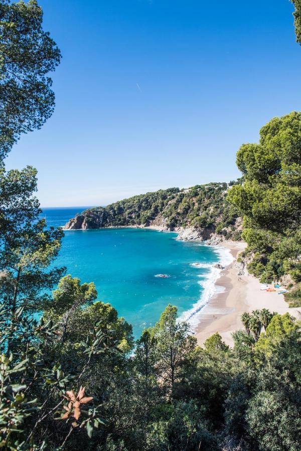 Cala Llevado Campsite