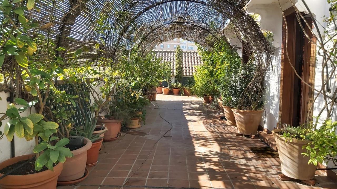 El Jardin De Wallada Apartment