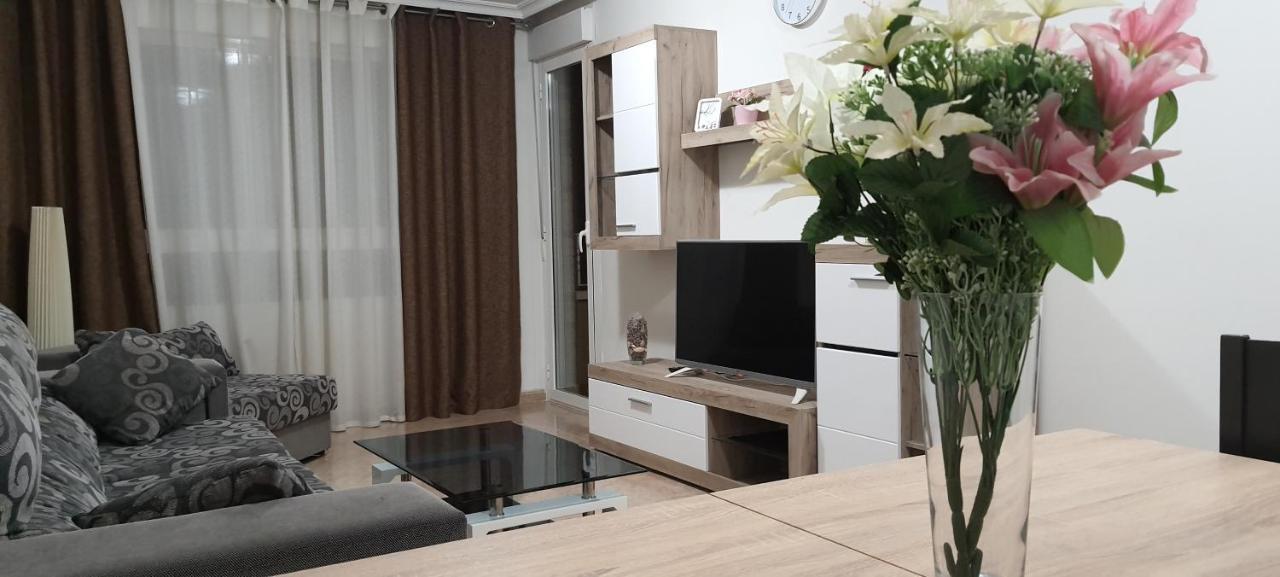 Apartment Apartamento Torrevieja Torrevieja