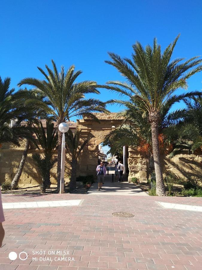 Residencial El Pinet La Marina