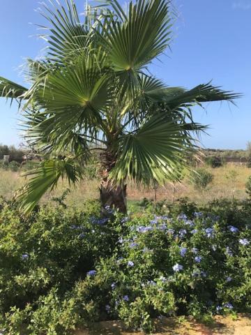El Idilio Villa Las Salinas