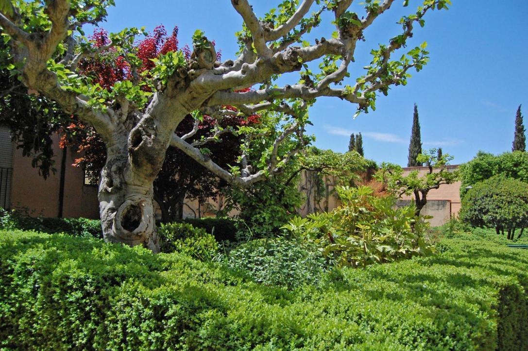 Un Vergel Al Pie De La Alhambra. Enjoy It Now!! * Granada