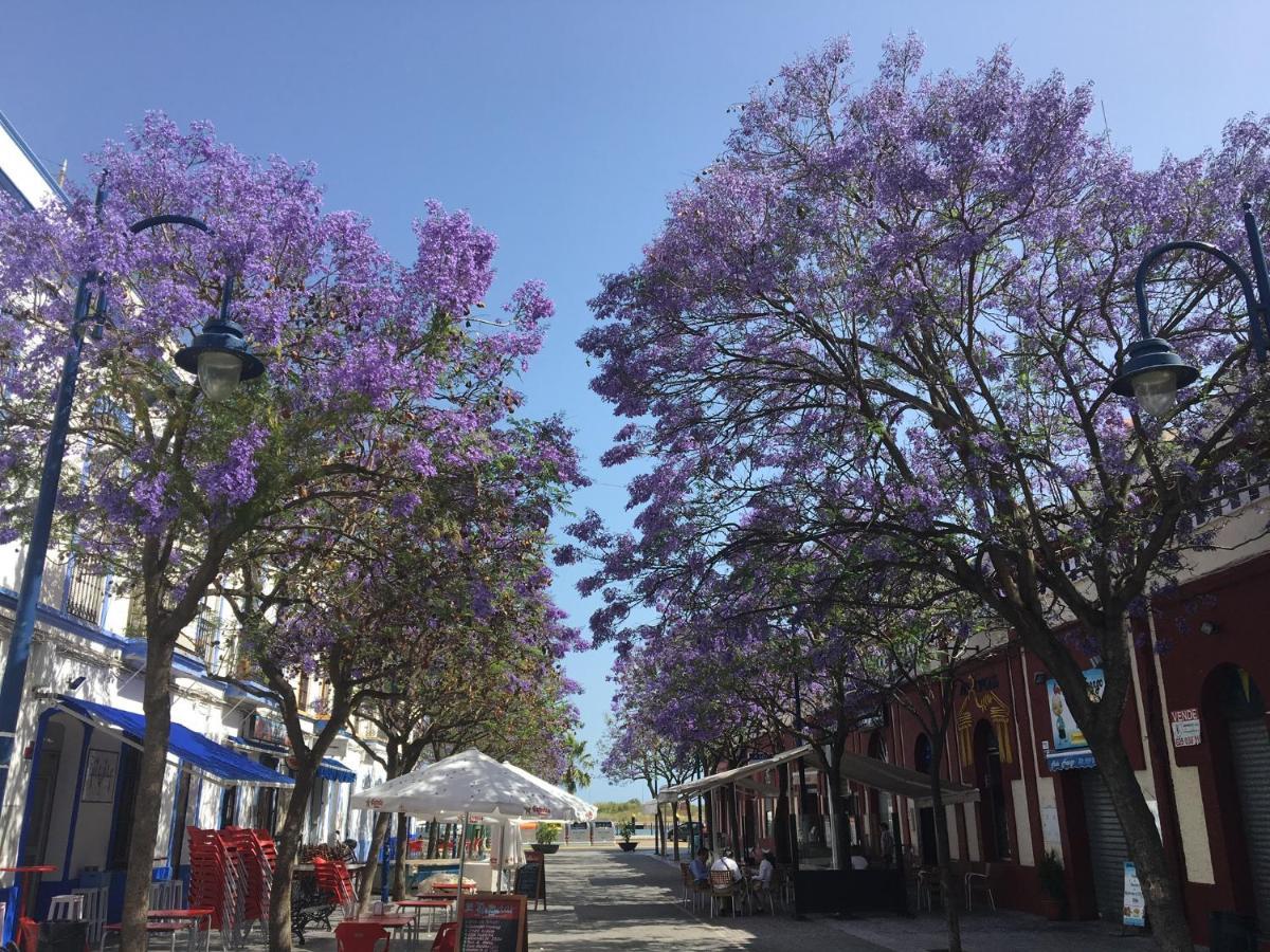 Su Casa Ayamonte