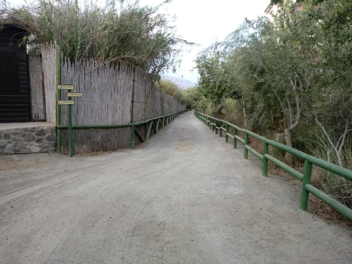 Alojamiento Aguas De Sol De De Salobrena * La Caleta-Guardia