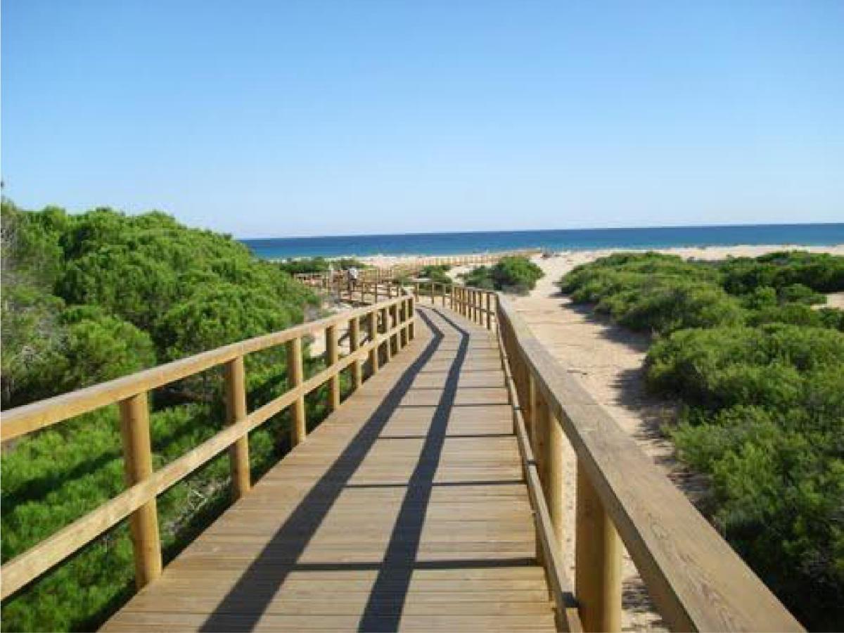 Casa De Kiwi Santa Pola