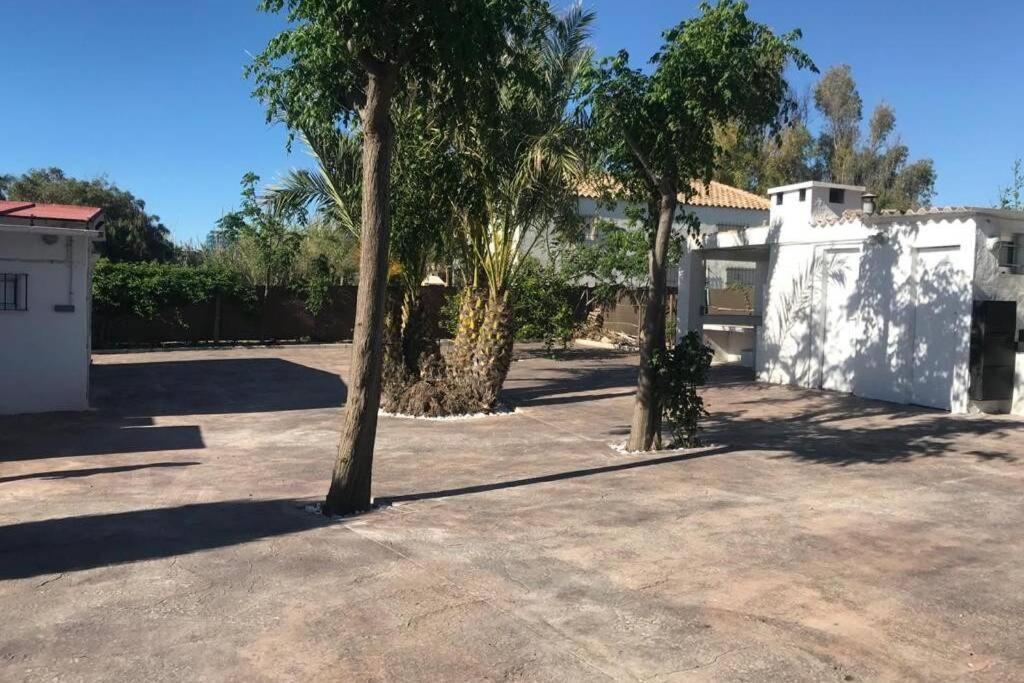 Terreta Piscina Y Playa *