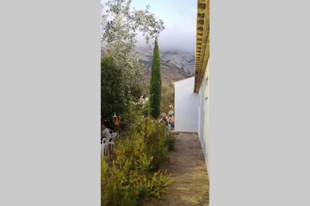 El Poblet 36 * Dénia