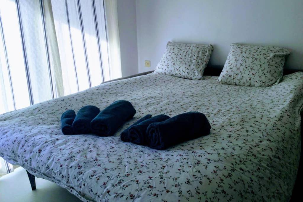 Magnifique Logement Roses