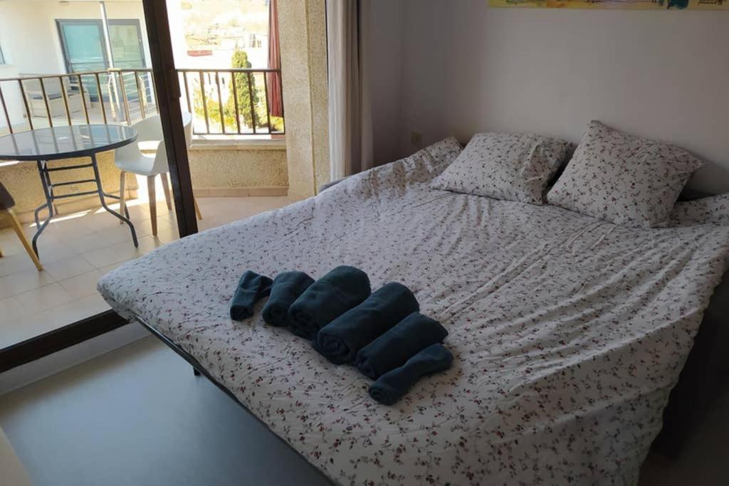 Magnifique Logement Roses
