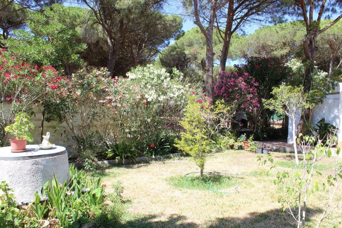 Andaluza En Zona Playa Barrosa Con Piscina Y Barbacoa Villa *
