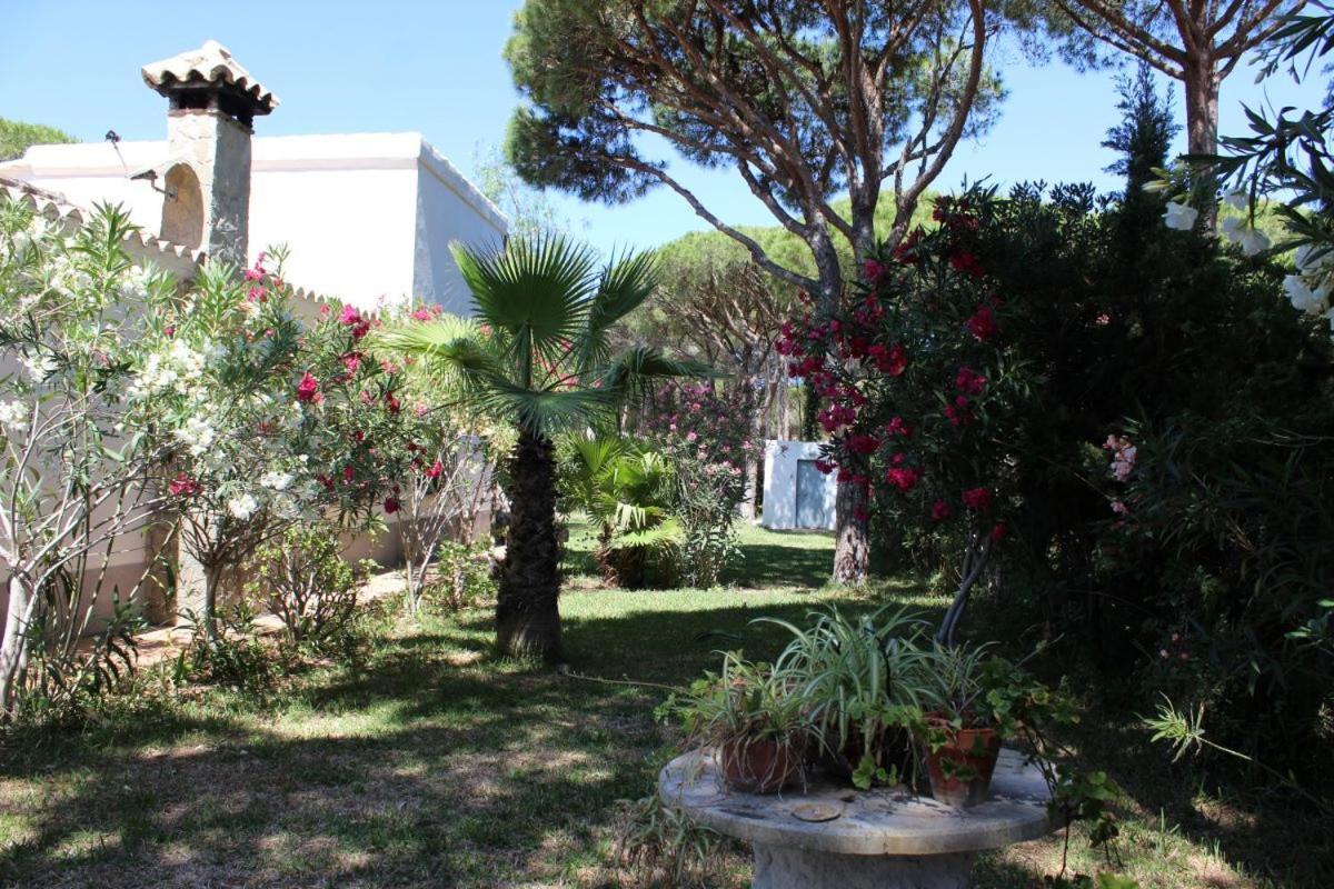 Andaluza En Zona Playa Barrosa Con Piscina Y Barbacoa Villa *